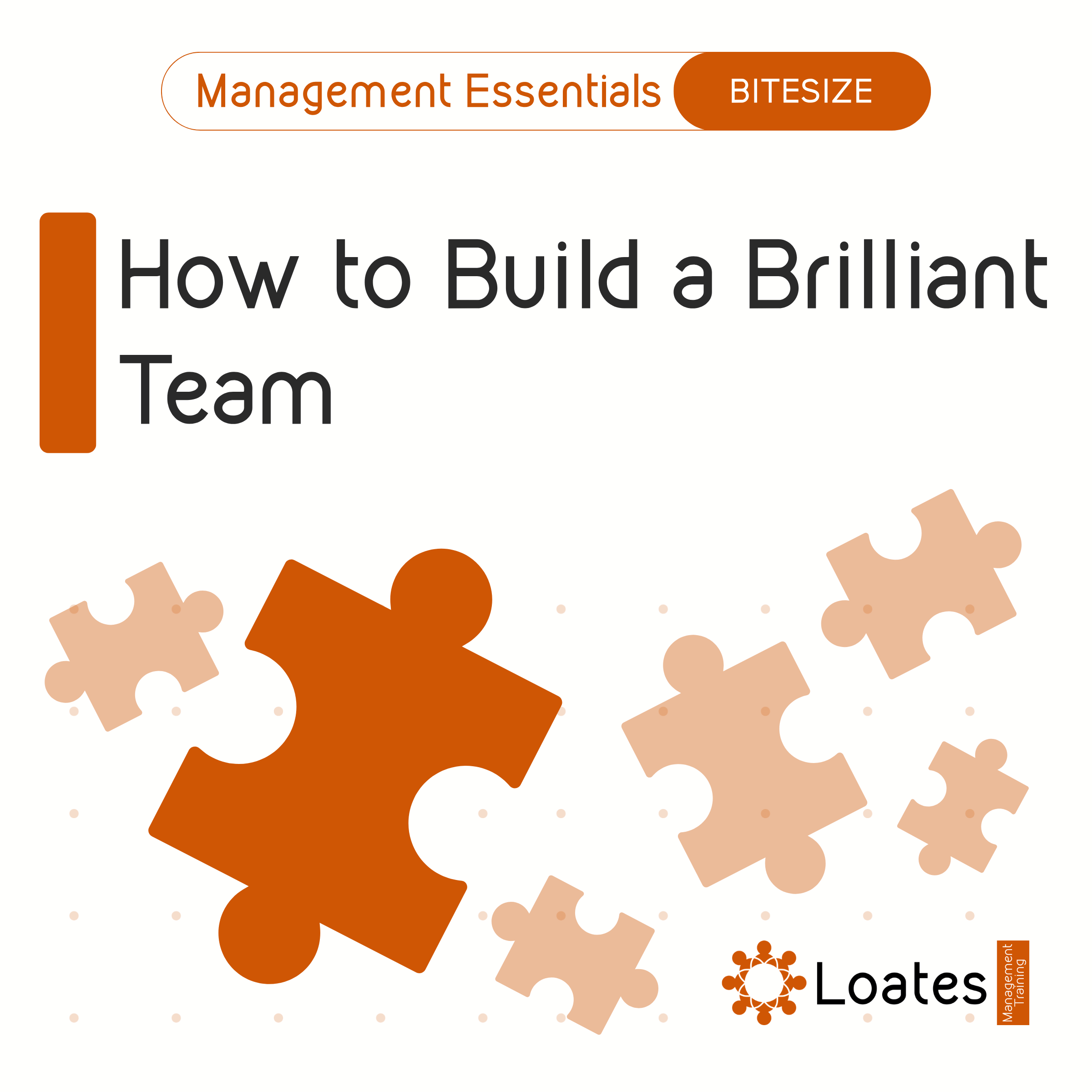 Bitesize : How to Build a Brilliant Team